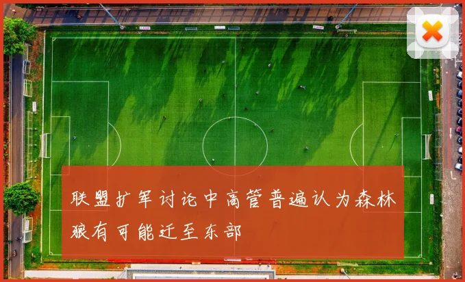 联盟扩军讨论中高管普遍认为森林狼有可能迁至东部