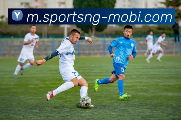 南宫体育平台生态图